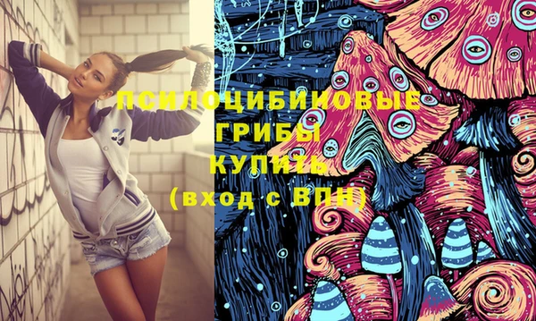 бошки Мегион