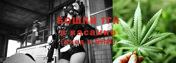 сатива Медвежьегорск