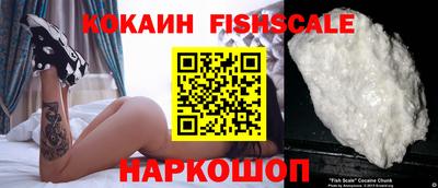 шишки Изобильный