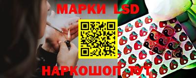 шишки Изобильный