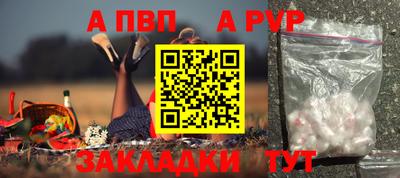 шишки Изобильный