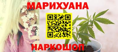 шишки Изобильный