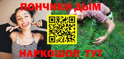 шишки Изобильный