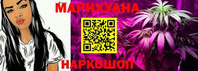 шишки Изобильный
