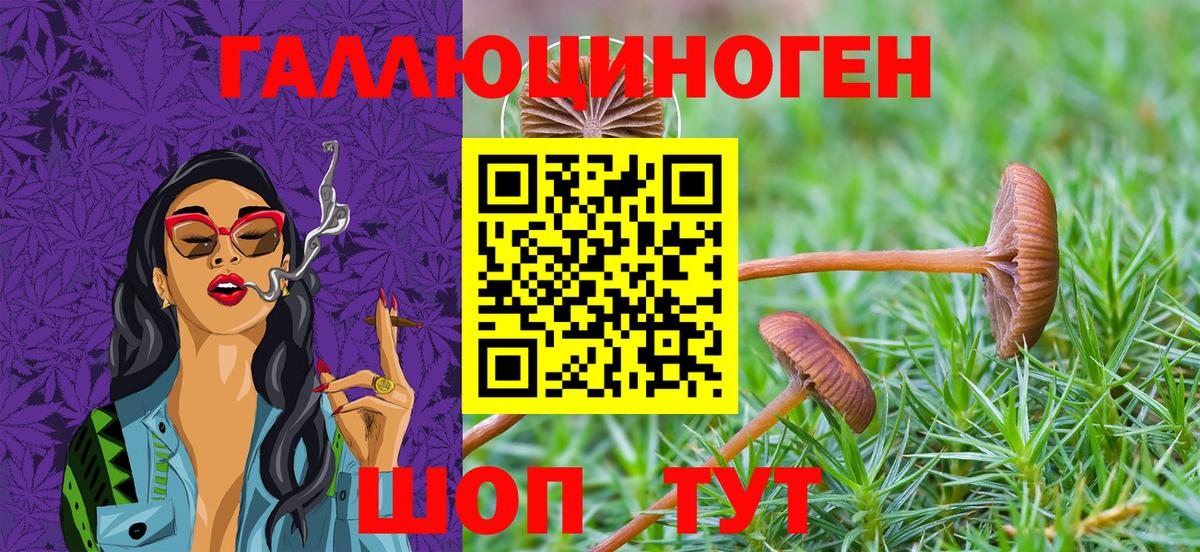 Псилоцибиновые грибы ЛСД Пермь
